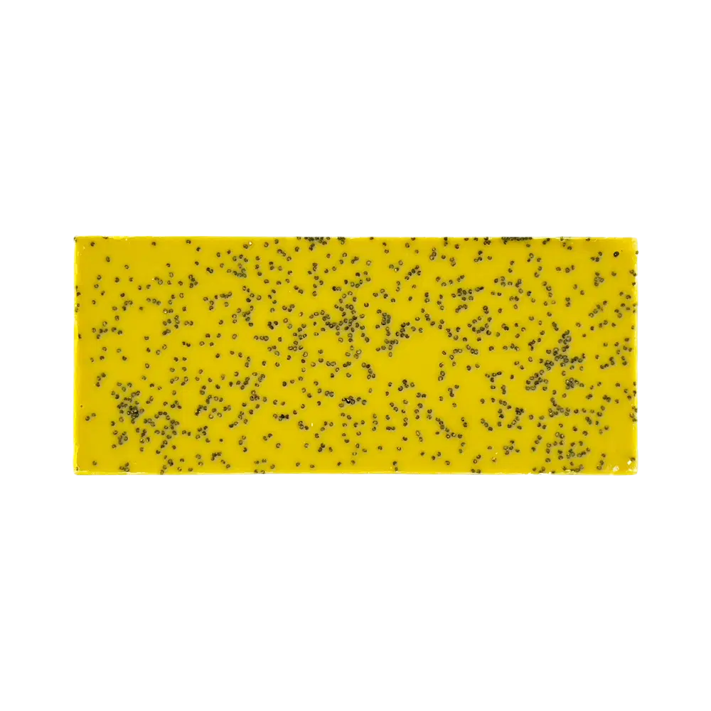 Happier Grocery Turmeric Ginger with Poppyseed Chocolate - 2 oz bar